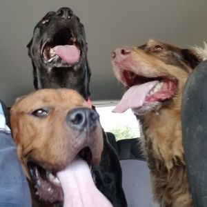 Meet your Posher, Kaitlin